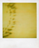 /album/the-polluted-polaroid-experiences-addiction/sanding-steps-jpg/